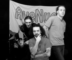 Фотография AveNue