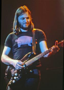 Фотография David Gilmour