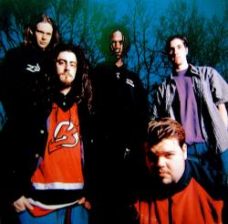 Фотография Dismay