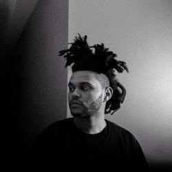 Фотография The Weeknd