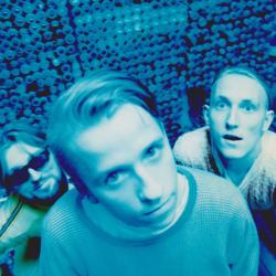 Фотография PIVO