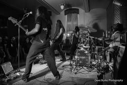 Фотография Alraune