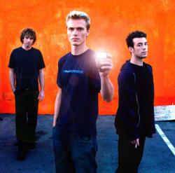 Фотография Black Lab