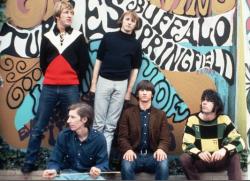 Фотография Buffalo Springfield
