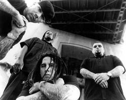 Фотография P.O.D.