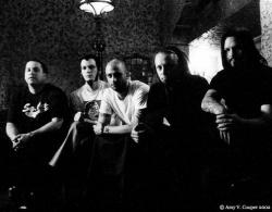 Фотография Cold