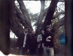 Фотография Copeland