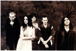 Фотография Darling Violetta