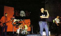 Фотография T.N.F.