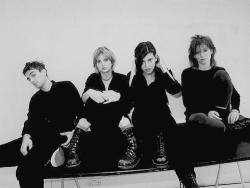 Фотография Elastica