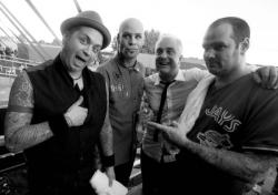 Фотография Goldfinger