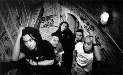 Фотография Green Lizard