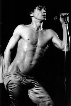 Фотография Iggy Pop