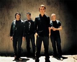 Фотография Bush