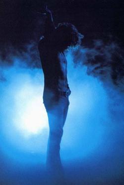 Фотография Plant Robert