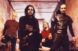 Фотография Professional Murder Music