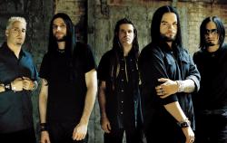 Фотография Saliva