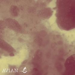 Фотография Shadows