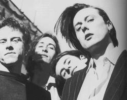 Фотография Suede