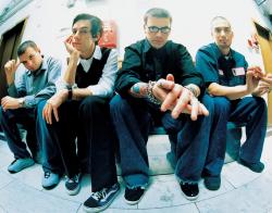 Фотография Taproot