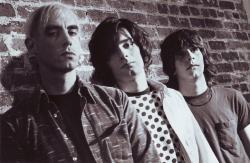 Фотография Wipers